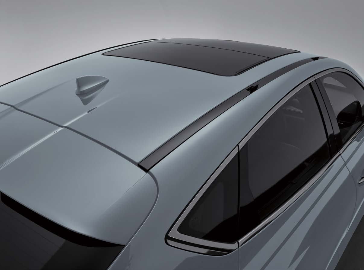 GV80 Coupe 플러시 타입 루프랙 8