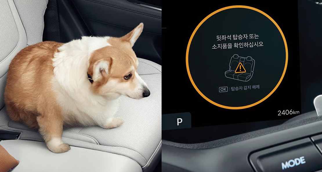 더 뉴 투싼 HEV 어드밴스드 후석 승객 알림 66