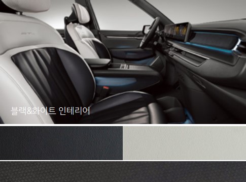 더 EV9 내장 색상 (GT-Line 전용)블랙&화이트 2