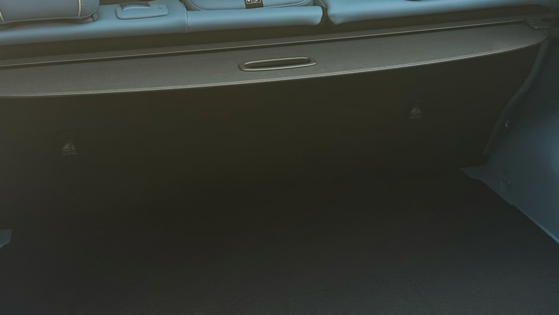 GV60 F/L 러기지 스크린, 러기지 네트 68
